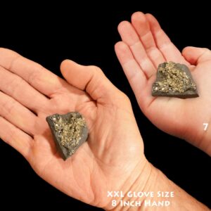 PYRITE On SHUNGITE 2" 1-2 Oz Brazil Raw Rock Mineral Third Eye Chakra Crystal Stone Natural Specimen Reiki Stone