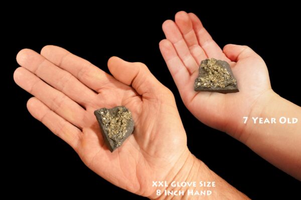PYRITE On SHUNGITE 2" 1-2 Oz Brazil Raw Rock Mineral Third Eye Chakra Crystal Stone Natural Specimen Reiki Stone