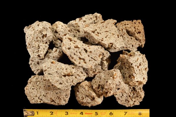 BIOTITE MICA in Andesite 2 1/2" 2-4 Oz Rough Rock Mineral Specimen Raw Root Chakra Crystal Natural Reiki Stone - Image 3