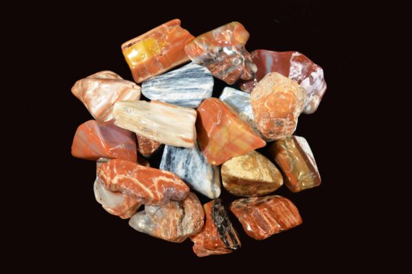 PETRIFIED WOOD 2 1/4" Tumbled Polished Rock Mineral Specimen Root Chakra Healing Crystal Natural Reiki Stone - Image 2