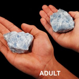 BLUE CALCITE 2 1/2" 4-7 Oz Crystal Raw Rock Mineral Throat Chakra Crystal Stone Natural Mineral Specimen Reiki
