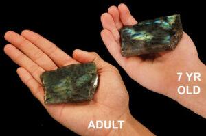 LABRADORITE Polished Slice 2" Rock Mineral All Chakra Crystal Stone Natural Specimen Reiki