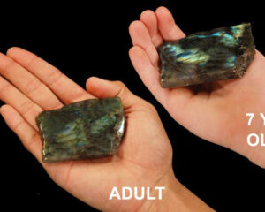 LABRADORITE Polished Slice 2" Rock Mineral All Chakra Crystal Stone Natural Specimen Reiki