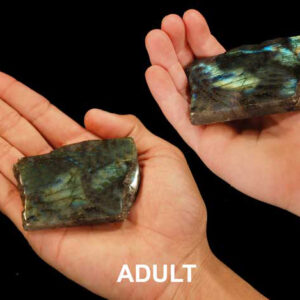 LABRADORITE Polished Slice 2" Rock Mineral All Chakra Crystal Stone Natural Specimen Reiki