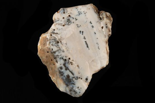 dendrite agate