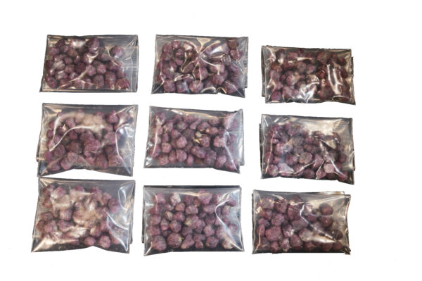 RUBY Nuggets 2 Oz Bag A Grade Precious Gemstone Rough Rock Mineral Heart Chakra Crystal Stone Genuine Natural Raw Specimen Reiki - Image 3